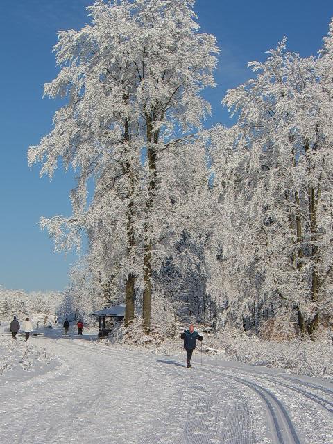 Haus Cristallo Olsberg Eksteriør bilde